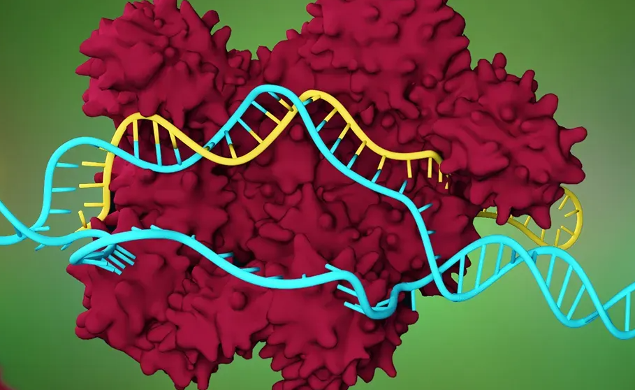 Dijital DNA tespiti